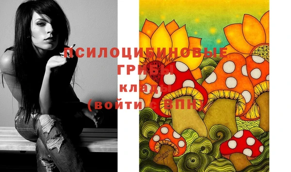 прущая мука Вяземский